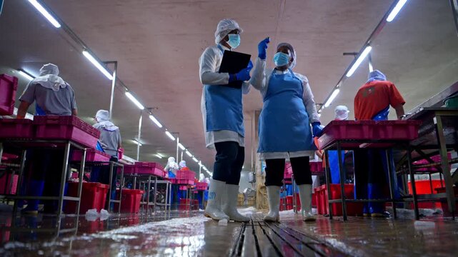 Both of quality control officer inspecting raw fish materials in a seafood processing factory before entering the production line