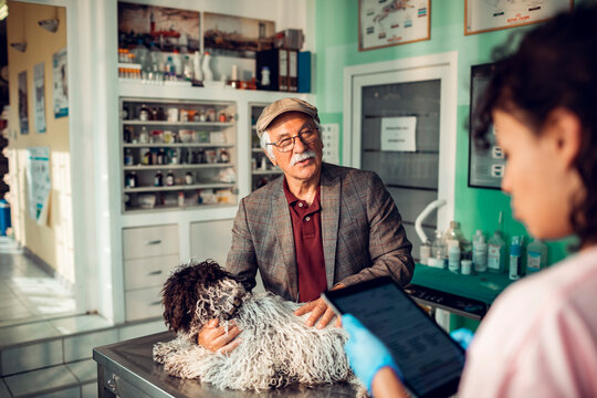 Senior man comforting shaggy dog at veterinary clinic