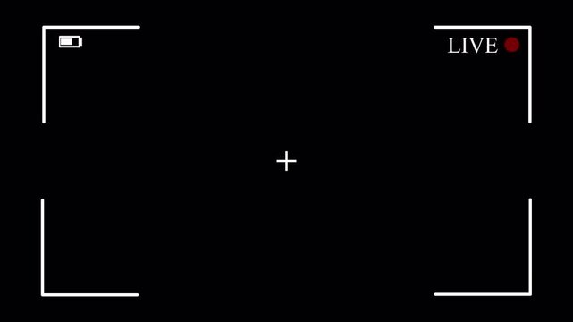 live button frame  Animation Simple live streaming icon animation with red circle blinking live streaming and broadcast icon in transparent background in4K animation with alpha channel 