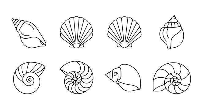 Minimal seashell silhouette vector icon set EPS10 isolated on white