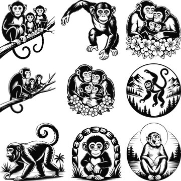 Monkey svg Bundle, Monkey monogram, Monkey svg file