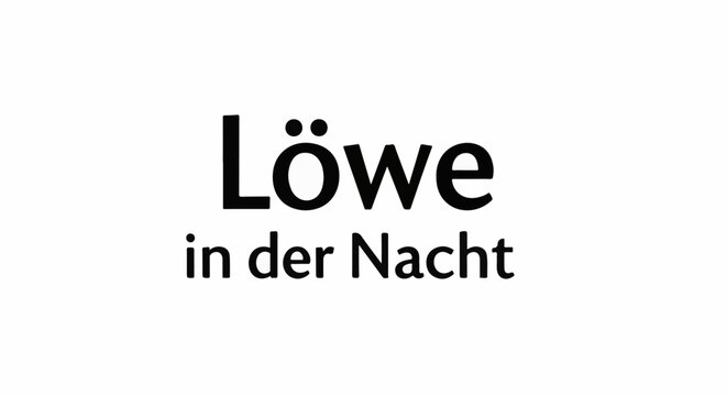 Large black text, 'L&ouml;we in der Nacht', centered on a white background