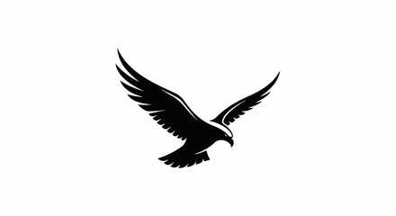 Fototapeta premium Silhouette of a bird of prey in flight, wings spread wide