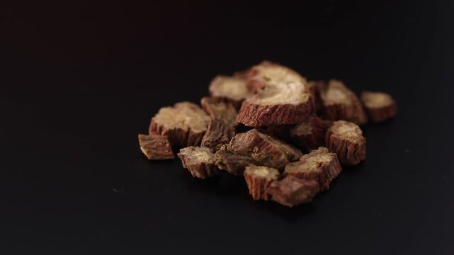 Salvia miltiorrhiza Bge. - Red sage