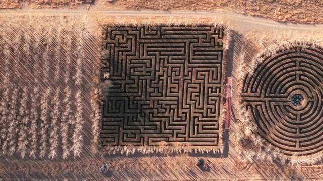 Square, round, and triangular hedge mazes in the Malargue countryside during a sunny autumn afternoon. High top-down aerial tracking, with stark trees.
