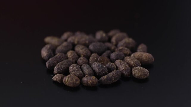 Sciuridae - Flying squirrel feces