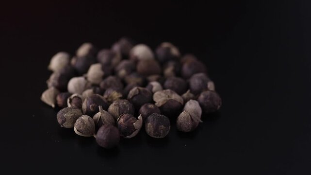 vitex rotundifolia - beach vitex seed