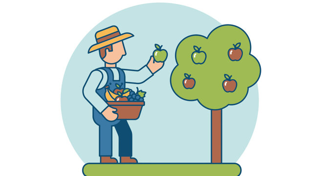 Man picking apples from tree 2.