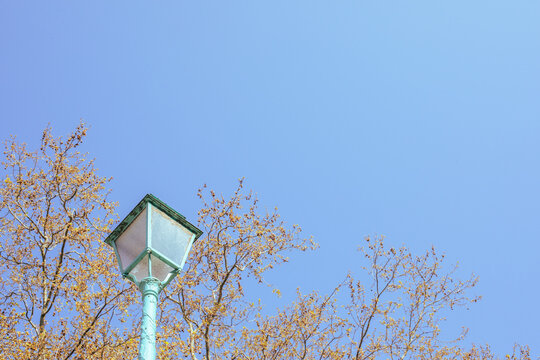 Turquoise street lamp in Paris with blooming trees and a blue sky.