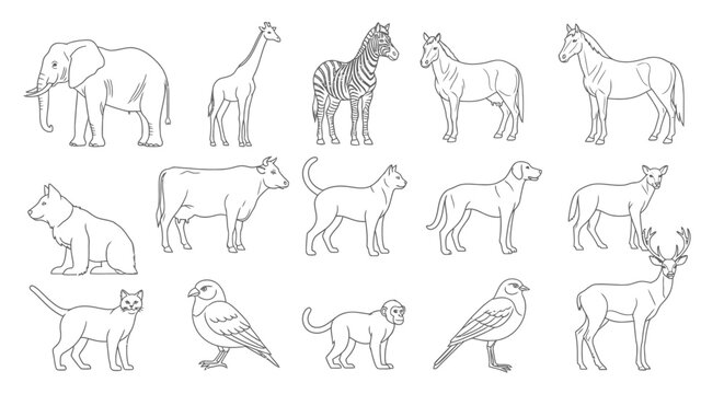 Various animals in a single line.
