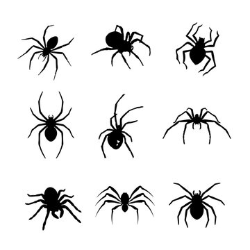 Spider Collection Set &ndash; Black Insect Silhouettes Vector Pack