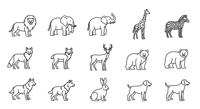 Collection of various wild animal drawings.