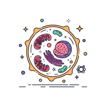 Biology animal cell scene where a colorful cell with lysosomes, mitochondria, and nucleus is illustrated while tiny sparkle and star icons emphasize life