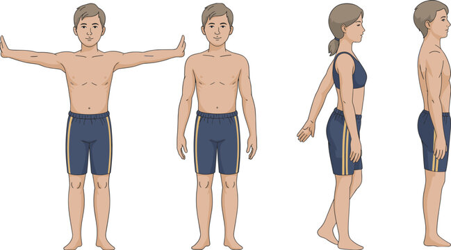 Male and female body reference characters front side views, anatomy vector illustration isolated on white background for fitness and design