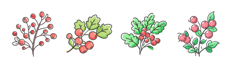 Assortment of four berry branches with red berries and green leaves, vector art. © SulaimanIslam
