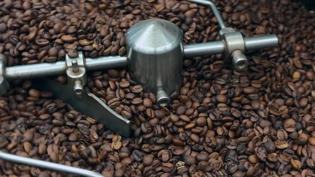 Freshly Roasted Organic Dark Brown Coffee Beans Tumbling and Stirring in Stainless Steel Cooling Tray with Rotating Mechanical Agitator Arm at Specialty Roastery Production Facility Close Up Shot