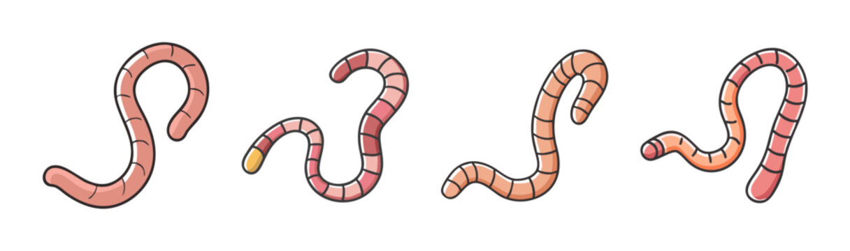 Group of four cartoon earthworms in various curled positions on a white background