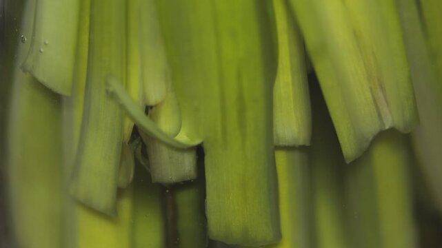 Fresh celery stalks photographed from above
