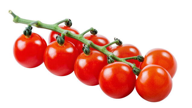 Vibrant cluster of ripe juicy cherry tomatoes hanging from a green stem, isolated on transparent background for healthy food marketing