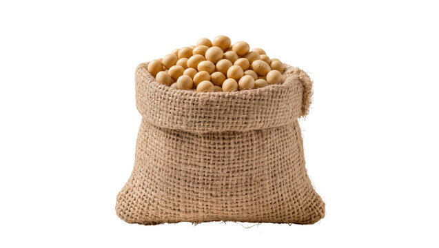 Rustic burlap sack overflowing with plump yellow soybeans, isolated on transparent background for agricultural or food packaging designs