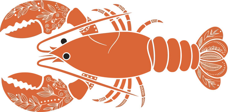 Crayfish Shell Crustacean Freshwater Animal.