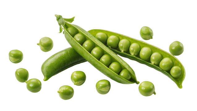 Vibrant green podded peas bursting with fresh round bright green peas, isolated on transparent background for healthy food designs