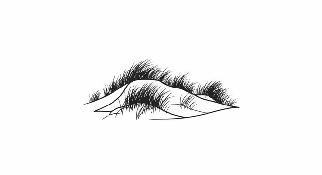 Simple line drawing of grassy sand dunes in black and white
