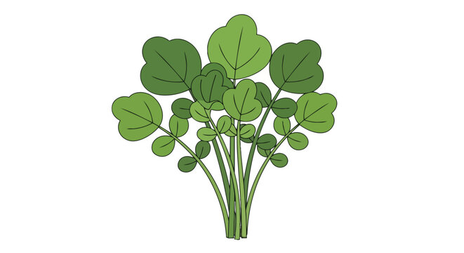 A vibrant illustration of fresh green watercress sprouts on a clean white background showcasing lush foliage and delicate stems