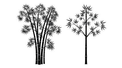 Obraz premium Black bamboo stalks and tree branches form a striking silhouette