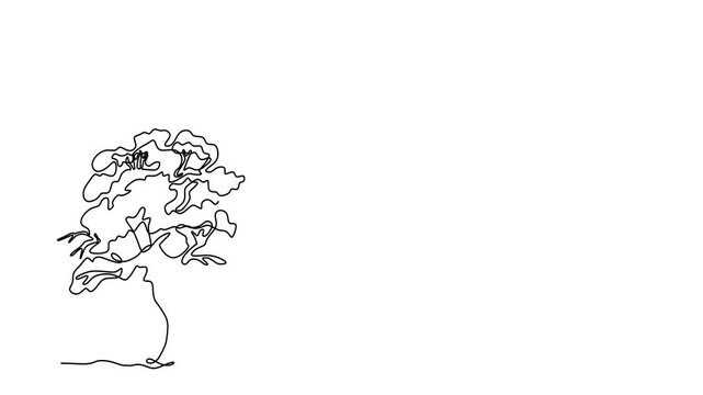 Animated self drawing of continuous line draw trees on white background. Full length one line animation. 4K