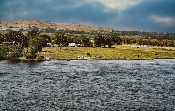 Bank of the Nile, Egypt