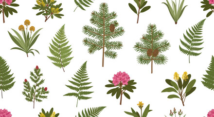 Fototapeta premium Variety of green leaves and flowers.