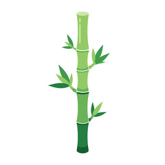 Fototapeta premium Illustration of a green bamboo plant with leaves on a white background