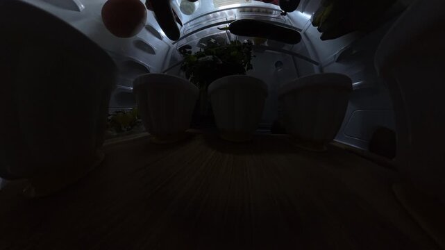 Inside view of a refrigerator as a woman reaches in to grab a grapefruit. The wide-angle perspective showcases various foods on a wooden shelf, capturing the moment of selection