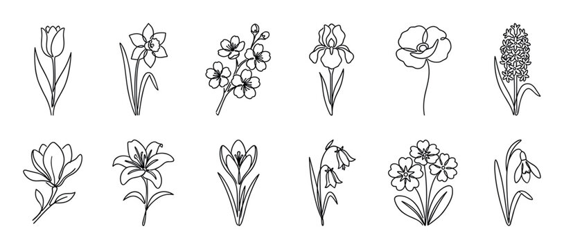 Collection of twelve spring flowers drawn in a minimalist continuous one line art style, featuring tulip, daffodil, iris, poppy, lily, and crocus for a clean elegant design