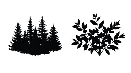 Black silhouettes of coniferous and deciduous trees against a white background silhouette © MDShawon