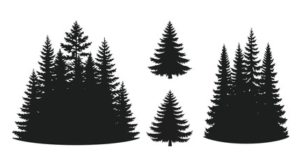 A collection of coniferous trees depicted in stark black silhouette © MDShawon