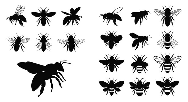 Variety of bee shapes and sizes displayed as a black silhouette
