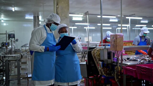 Both of quality control officer inspecting raw fish materials in a seafood processing factory before entering the production line