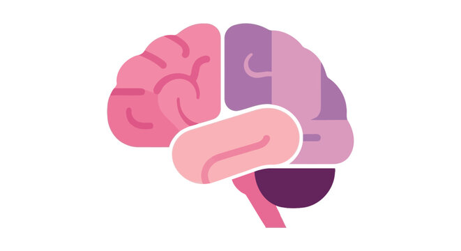 Brain Illustration with Colorful Sections. Vector Icon. EPS Editable