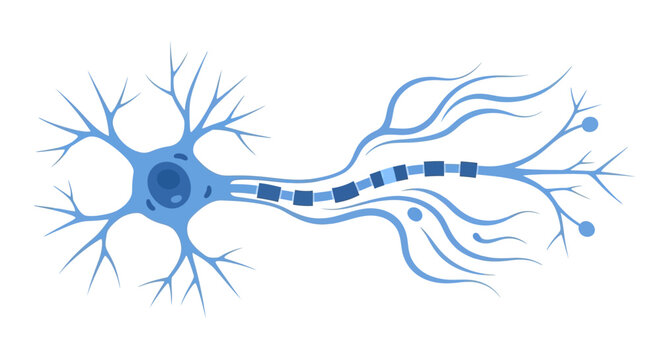 Neuron cell with dendrites and axon 1. Vector Icon. EPS Editable