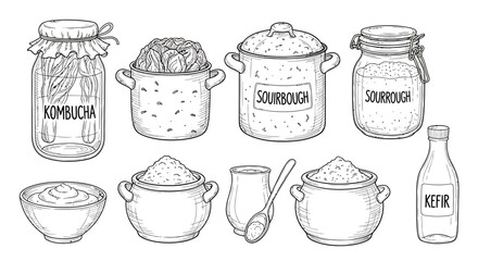 Fototapeta premium An outline sketch vector illustration of various fermentation vessels and food items on a table