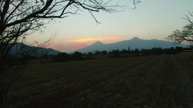Drone backward aerial over farmland rows with silhouetted Colima volcanoes at sunset in Tuxpan, Jalisco, Mexico
