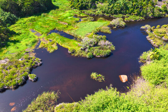 Drone of Untouched mongrove at the police bay, Mahe, Seychelles