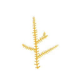 Obraz premium Plant doodle illustration botanical garden drawing with yellow color inspired by cactus and bone that can be used for icon, etc
