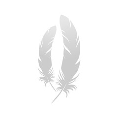 Obraz premium Realistic Feather Vector – Soft Detailed Plumage Isolated on White Background.ai
