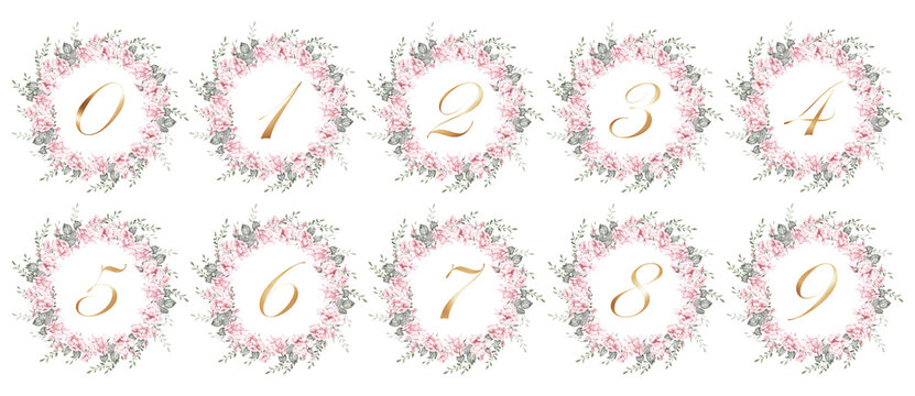 Elegant watercolor floral wreath numbers set from 0 to 9 with soft pink flowers and green leaves. Golden calligraphy digits inside round frames, perfect for wedding design, invitations, branding 