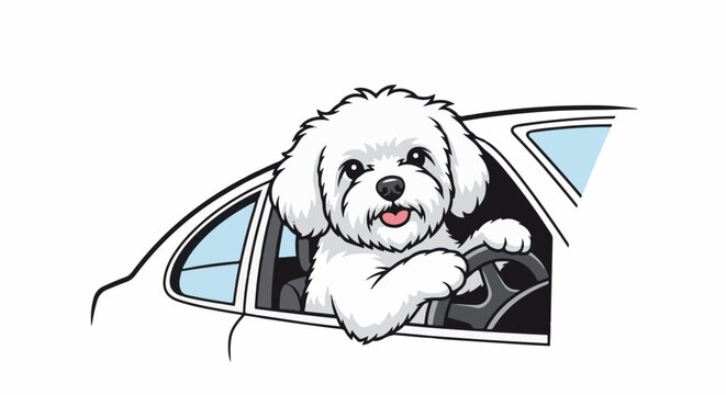 Happy white dog driving a car with paws on steering wheel