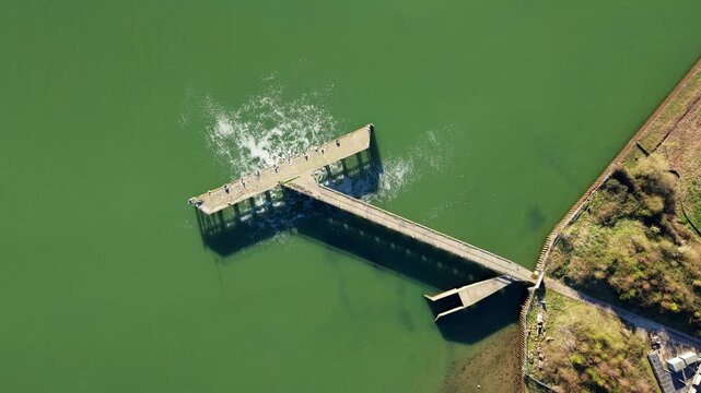 Top down aerial view of a jetty pontoon with seabirds and a wastewater discharge plume into the River Orwell, Ipswich, Suffolk, UK.