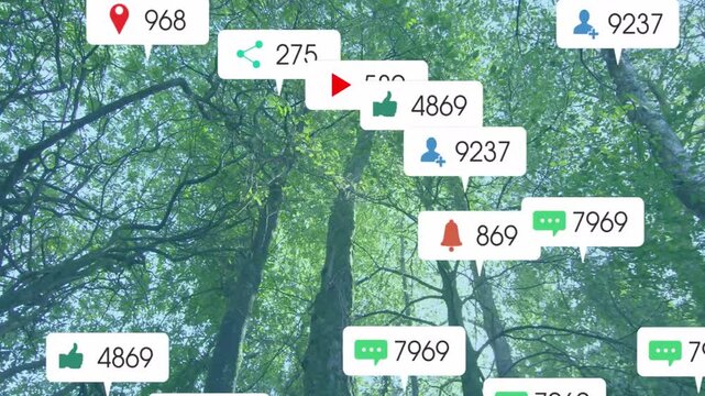 Vertical video: Labels rising from bottom, clustering then fading, showing engagement over canopy